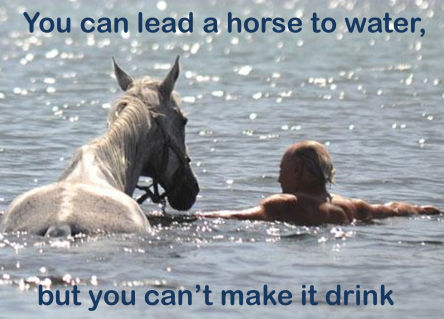 you can lead horse water make drink